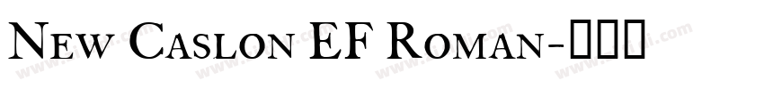 New Caslon EF Roman字体转换